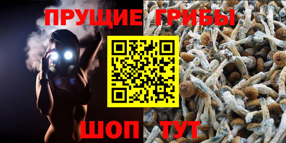 Саров  Псилоцибиновые грибы прущие грибы  Вход с VPN  Галлюциногенные грибы MAGIC MUSHROOMS 